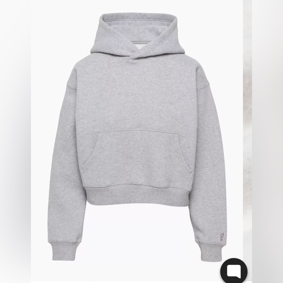 TNA Tops - TNA M shrunken boyfriend hoodie in heather grey